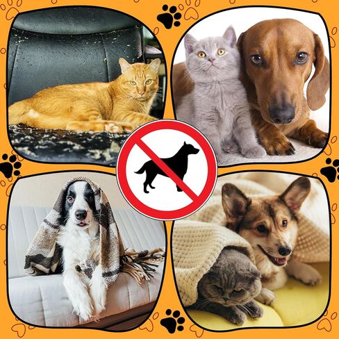 Pet Deterrent Mat to Keep Dogs Off Bed Couch and Furniture 72x56.3x0.04in Pain Free Couch Mat Non Electric Pet Repellent Mat Cats Dogs Couch Cover to Keep Pets Off Sofa Couch (Khaki) in Saudi Arabia
