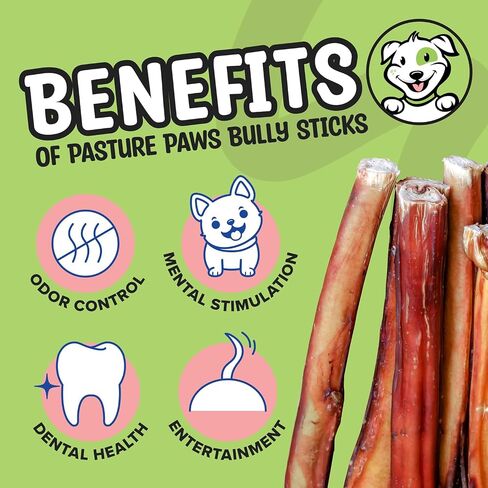 Bully Sticks for Dogs | Long-Lasting All Natural Dog Chew Sticks | Fully Digestible Low Odor Bully Sticks | Dental Health Support Dog Treats Sticks | 6-inch | 5 Count Pack in Saudi Arabia