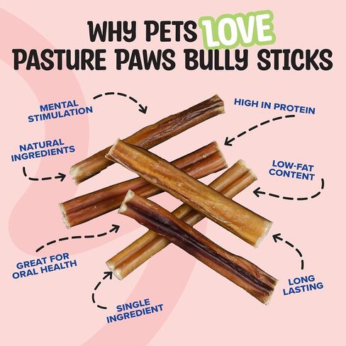Bully Sticks for Dogs | Long-Lasting All Natural Dog Chew Sticks | Fully Digestible Low Odor Bully Sticks | Dental Health Support Dog Treats Sticks | 6-inch | 5 Count Pack in Saudi Arabia