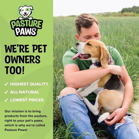Bully Sticks for Dogs | Long-Lasting All Natural Dog Chew Sticks | Fully Digestible Low Odor Bully Sticks | Dental Health Support Dog Treats Sticks | 6-inch | 5 Count Pack in Saudi Arabia