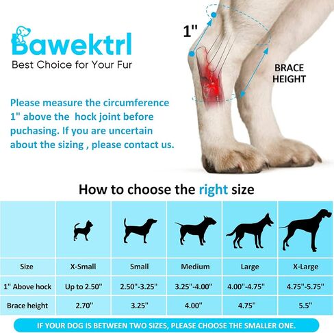 Dog Leg Braces for Rear Legs, Hock Brace for Back Legs with Metal Strips and Safety Reflective Straps for Short Legs, Joint Warps Support for Hind Legs Injuries Sprains Arthritis (XSmall) in Saudi Arabia