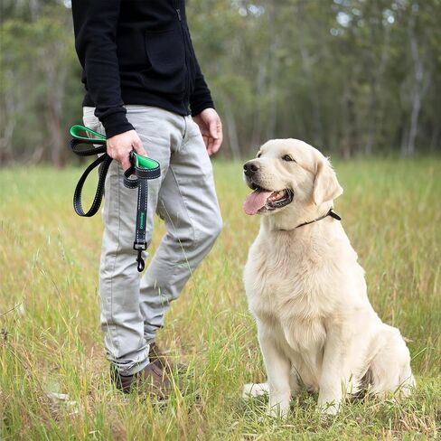 6 Foot Long Dog Leash with 2 Padded Handles - for Large and Medium Dogs - Walking Lead with Reflective Stitching and Traffic Handle for Control and Flexibility - Black in Saudi Arabia