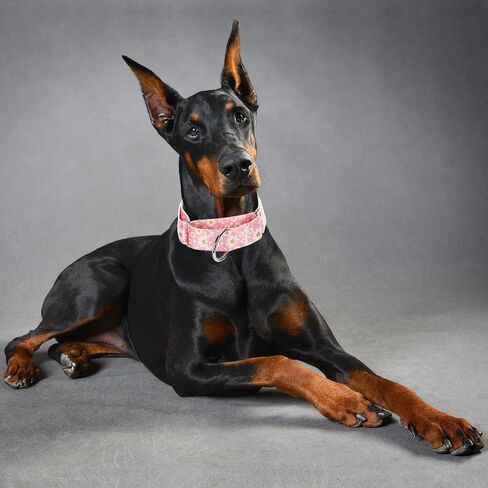 Martingale Collar 1.5 Inches Wide Girl Dog Collar, Heavy Duty Adjustable Collar with Pink Daisy Floral, Perfect Collar for Dogs with Larger Heads & Necks (L) in Saudi Arabia