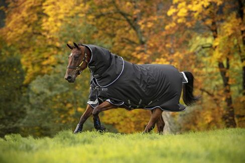 HORSEWARE Ireland Amigo Bravo 12 Plus Medium Weight Waterproof Breathable Horse Turnout Blanket, 250G, Black/Strong Blue/Black, 72 in Kuwait