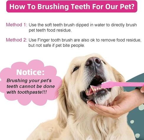 فرشاة أسنان للكلاب، مجموعة تنظيف أسنان الجرو، فرشاة أسنان صحية وردية اللون للكلاب، فرشاة أسنان لنظافة الأسنان للحيوانات الأليفة، أرنب هريرة، 5 قطع/الحزمة in Kuwait