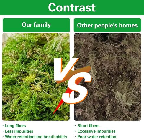 10oz Premium Sphagnum Moss for Reptiles, Natural Reptile Moss for Humidity, Forest Live Moss Substrate for Terrarium, Moss Bedding for Leopard Gecko Turtle Anoles Salamanders Snakes in Saudi Arabia