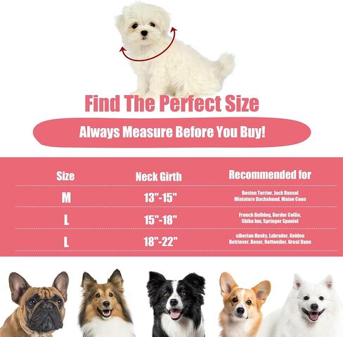Soft Dog Cone for Small Dogs, Inflatable Comfortable Dog Donut Collar Alternative After Surgery, Protective Elizabethan Donut Collar for Dogs Recovery and Stop Licking, Pink, L in Saudi Arabia