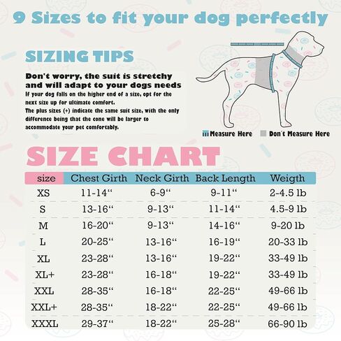 Barks & Mulligans Bundle Surgical Recovery Suit for Dogs After Surgery Onesie and Dog Donut Collar, Dog Surgery Suit Female Spay and Male Kit with Dog Cones for Large Dogs, Medium and Small, with Pump in Saudi Arabia