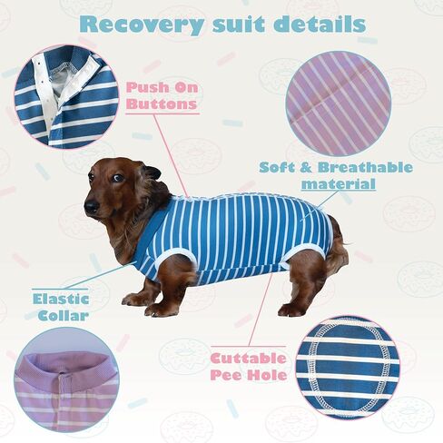 Barks & Mulligans Bundle Surgical Recovery Suit for Dogs After Surgery Onesie and Dog Donut Collar, Dog Surgery Suit Female Spay and Male Kit with Dog Cones for Large Dogs, Medium and Small, with Pump in Saudi Arabia