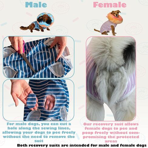 Barks & Mulligans Bundle Surgical Recovery Suit for Dogs After Surgery Onesie and Dog Donut Collar, Dog Surgery Suit Female Spay and Male Kit with Dog Cones for Large Dogs, Medium and Small, with Pump in Saudi Arabia