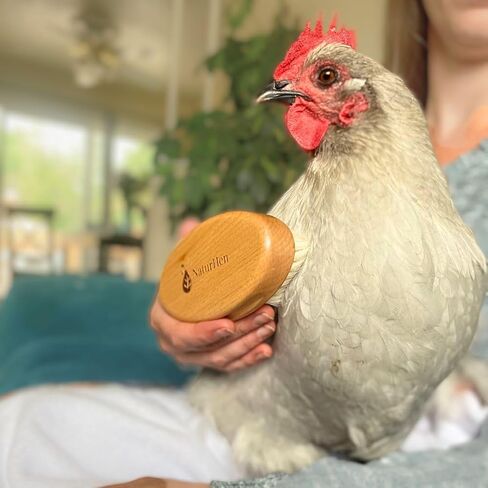 Soft Chicken Feather Brush, Feather Brush For Chickens & Small Pets, Soft Small Bristle Brush, Chicken Grooming, Chicken Care in Saudi Arabia