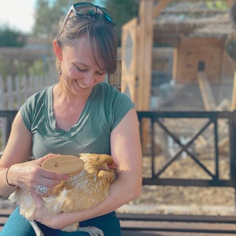 Soft Chicken Feather Brush, Feather Brush For Chickens & Small Pets, Soft Small Bristle Brush, Chicken Grooming, Chicken Care in Saudi Arabia