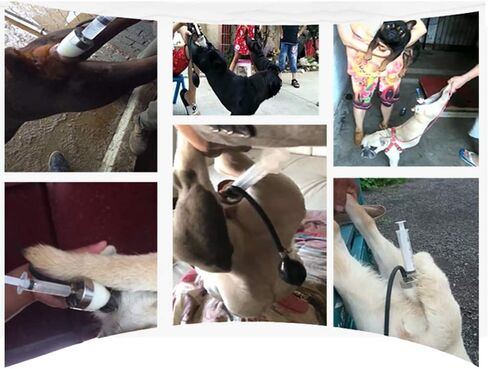 iDili Professional Dogs Artificial Insemina Syringe, Imitation Natural Mating Insemination Artificial Silicone Inseminating Syringe (B: for 20-40KG Dogs) in Saudi Arabia