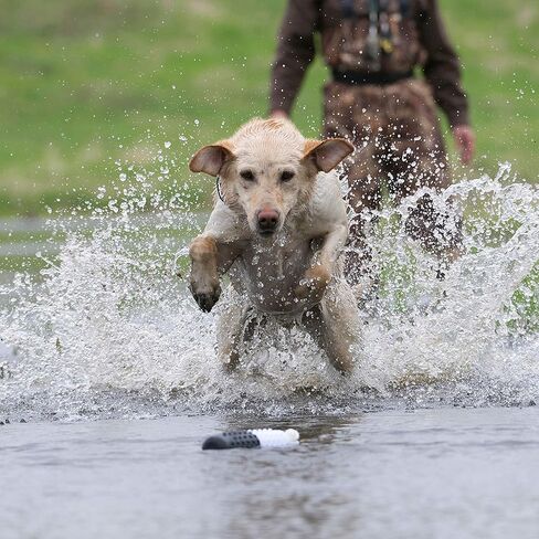 الدمى البلاستيكية ذات العلامة التجارية SportDOG in Kuwait