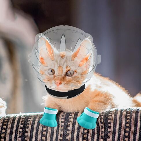 SYCOOVEN Cat Muzzle and Boots Cat Muzzle with Nail Clippers Trimmer Set, Cat Breathable Bubble Helmet Hood and 4 Pcs Silicone Cat Claw Covers(Clear) in Saudi Arabia