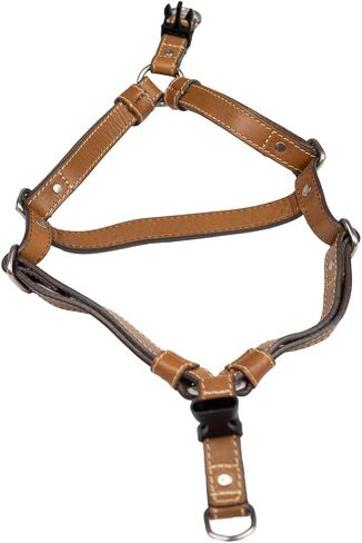 Leather Reflective Dog Harness - Handcrafted - Full Grain Leather (Vegetable Tanned) - Stainless Steel Hardware - Honey with Reflective Loops, Large in Saudi Arabia