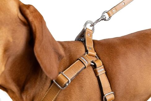 Leather Reflective Dog Harness - Handcrafted - Full Grain Leather (Vegetable Tanned) - Stainless Steel Hardware - Honey with Reflective Loops, Large in Saudi Arabia