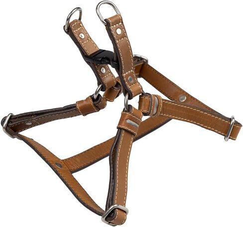 Leather Reflective Dog Harness - Handcrafted - Full Grain Leather (Vegetable Tanned) - Stainless Steel Hardware - Honey with Reflective Loops, Large in Saudi Arabia