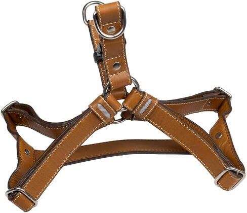 Leather Reflective Dog Harness - Handcrafted - Full Grain Leather (Vegetable Tanned) - Stainless Steel Hardware - Honey with Reflective Loops, Large in Saudi Arabia