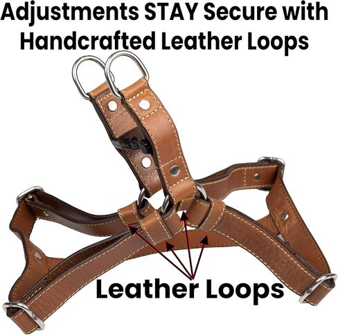 Leather Reflective Dog Harness - Handcrafted - Full Grain Leather (Vegetable Tanned) - Stainless Steel Hardware - Honey with Reflective Loops, Large in Saudi Arabia