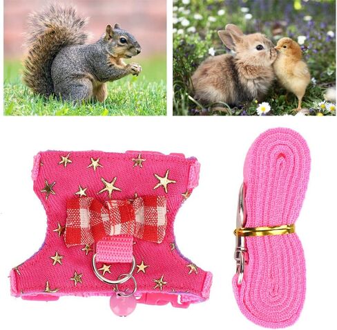 Hamster Harness, Adjustable Walking Vest Set Leash Walking Harness Vest Leash Set for Syrian Hamster Squirrels Gerbils Golden Bears Ferret(S) Leashes in Saudi Arabia