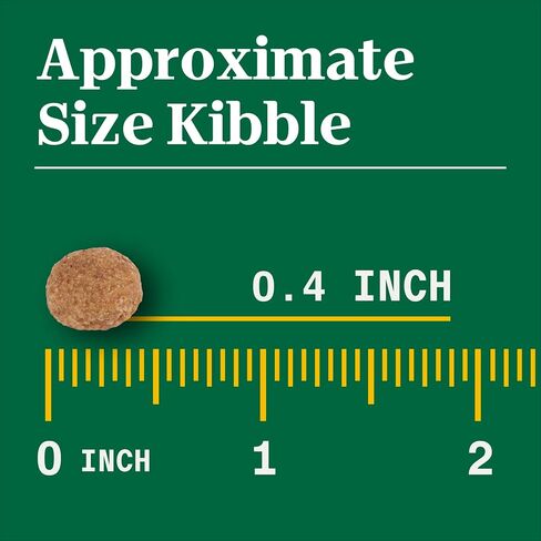 نوترو ناتشورال تشويس طعام جاف للكلاب البالغة، وصفة لحم الضأن والأرز البني، 30 رطلاً. in Kuwait