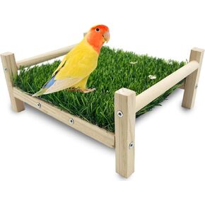 Bird Foraging Bed, Parrot Hammock Bed, Parrot Grass Perch Bed, Bird Perch Conure Platform Grass Forage Toy for Parakeet, Parrot, Cockatiel, Lovebird, Budgie