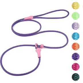 DaFuEn 6 FT Dog Slip Lead Dog Leash Dog Classic Training Leash Lightweight Durable Slip Leads for Dogs No-Pull Slip Leash and Collar Dog Leash for Small Medium Puppies