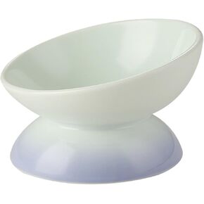 Ceramic Raised Cat Bowls for Indoor Cats 6.1 Inch Wide Cute Elevated Cat Food Bowls 15° Tilted Whisker Friendly Purple Cat Water Bowl Dishwasher and Microwave Safe Puppy Feeding Set Supplies