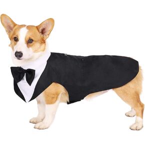 Dog Tuxedo Wedding Suit Set - Bandana, Black Stripe (Large)