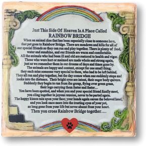 BANBERRY DESIGNS Pet Memorial Plaque - The Rainbow Bridge Story - Desktop Keepsake Plaque for The Loss of a Dog or Cat. Measures 6 1/4" X 6 1/4" and has an Easel Back.