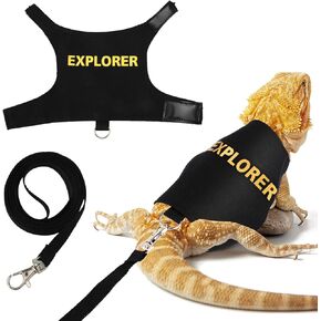 Bearded Dragon Leash and Harness Set, Escape Prevention Bearded Dragon Accessories Adjustable Lizard Reptiles Harness for Chameleon Small Pet Amphibian Outdoor Safe Walk