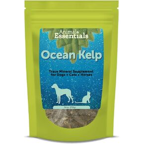 Animal Essentials Ocean Kelp for Dogs & Cats - Thyroid Support, Thyroid Supplement, Sea Kelp, Kelp Powder, Trace Mineral Supplement - 24 Oz