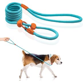 Slip Leads for Dogs,5 FT Slip Leash for Dogs,Small Dog Training Leash for Puppy,Lightweight Rope Leash for Medium Dogs,No Pull Pet Training Leash,Quick Put On and Take Off Loop Leash for Dogs,Blue