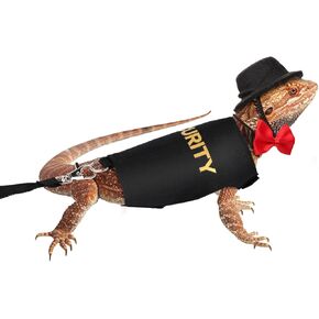 Bearded Dragon Leash and Harness Set, Adjustable Lizard Reptile Leashes Rope with Felt Hat & Bow Tie Accessories for Amphibians Chameleons Small Pet Animals Outdoor Walking