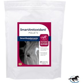 SmartPak الكريات الذكية المضادة للأكسدة بتركيبة فيتامين C وE | مستخلص بذور العنب والفلافونويدات الحيوية الحمضية، مكمل غذائي للخيول الكبيرة والخيول عالية الأداء، 56 وجبة، كيس بوزن 5 رطل in Kuwait