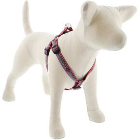Step in Dog Harness by Lupine 3/4" wide El Paso design with 20-30" Adjustable Girth