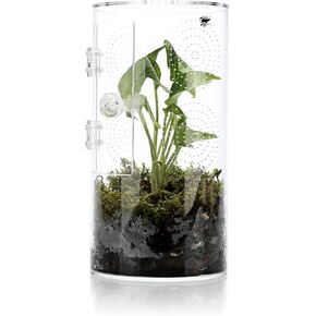 Jumping Spider Enclosure, 11 1/2"*6"*6", Air Hole 5/64" Micro Habitat Terrariums, Arboreal Reptile Tank with Front Opening Door, Plant Greenhouse