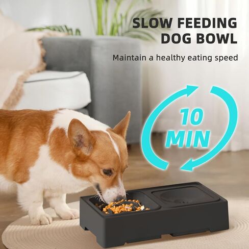 Elevated Dog Bowls - Slow Feeder with No Spill Dog Water Bowl - 4 Height Adjustable Elevated Pet Food Bowls and Water Bowl for Small Medium Large Dogs, Cats (Black No Spill Water Bowl+Slow Feeder) in Saudi Arabia