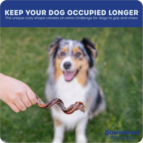 Downtown Pet Supply Spiral Bully Sticks for Medium Dogs - Dog Dental Treats & Rawhide-Free Dog Chews - Dog Treats with Protein, Vitamins & Minerals - Regular - 4-6in - 20Ct in Saudi Arabia