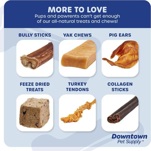 Downtown Pet Supply Spiral Bully Sticks for Medium Dogs - Dog Dental Treats & Rawhide-Free Dog Chews - Dog Treats with Protein, Vitamins & Minerals - Regular - 4-6in - 20Ct in Saudi Arabia