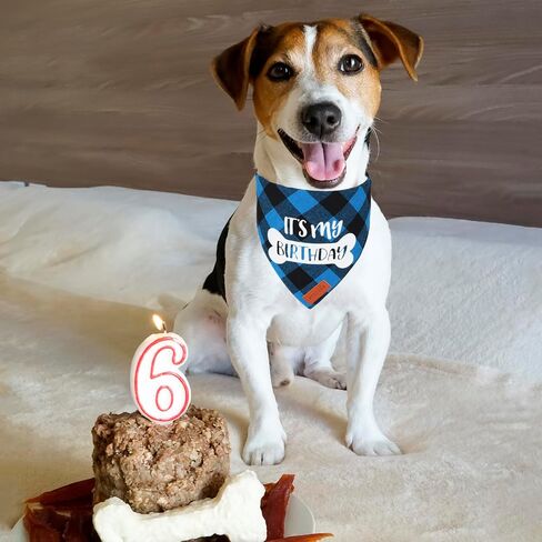 Dog Birthday Party Supplies, It’s My Birthday Dog Bandana Blue Plaid Boy Dog Birthday Bandana for Medium Large Dogs (Blue, Large) in Saudi Arabia
