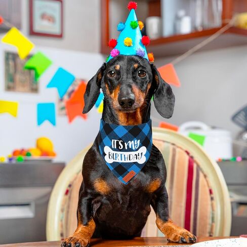 Dog Birthday Party Supplies, It’s My Birthday Dog Bandana Blue Plaid Boy Dog Birthday Bandana for Medium Large Dogs (Blue, Large) in Saudi Arabia