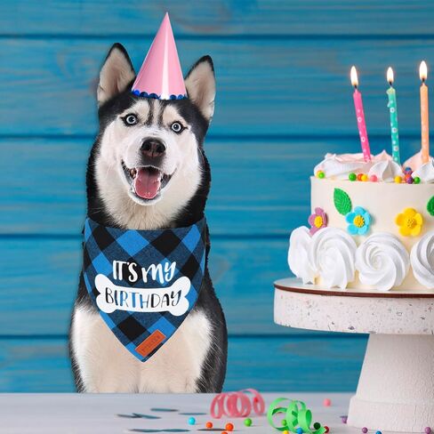 Dog Birthday Party Supplies, It’s My Birthday Dog Bandana Blue Plaid Boy Dog Birthday Bandana for Medium Large Dogs (Blue, Large) in Saudi Arabia