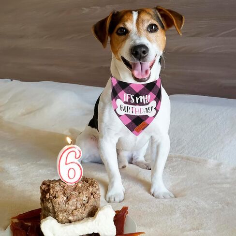 Dog Birthday Party Supplies, It’s My Birthday Dog Bandana Blue Plaid Boy Dog Birthday Bandana for Medium Large Dogs (Blue, Large) in Saudi Arabia