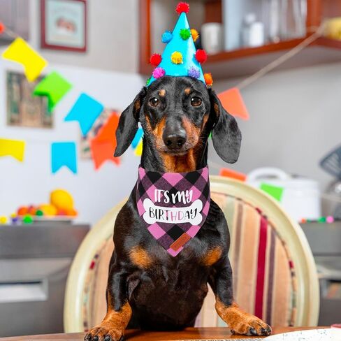 Dog Birthday Party Supplies, It’s My Birthday Dog Bandana Blue Plaid Boy Dog Birthday Bandana for Medium Large Dogs (Blue, Large) in Saudi Arabia