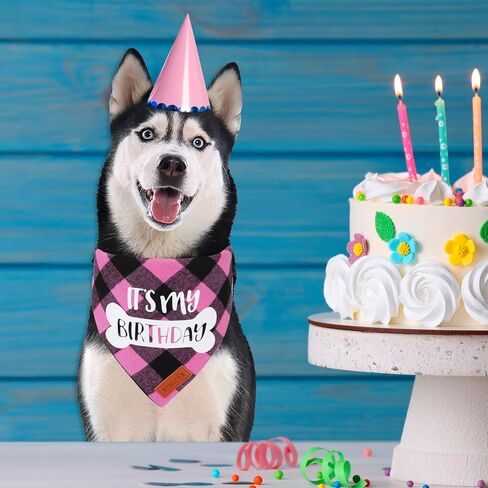 Dog Birthday Party Supplies, It’s My Birthday Dog Bandana Blue Plaid Boy Dog Birthday Bandana for Medium Large Dogs (Blue, Large) in Saudi Arabia