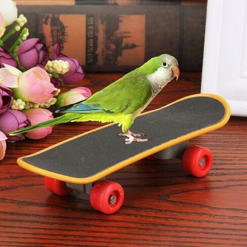 Hypeety Bird Parrot Intelligence Toys Training Skateboard Stand Perch for Parakeet Budgies Cockatiels Lovebird Funny Talbe Toy in Saudi Arabia