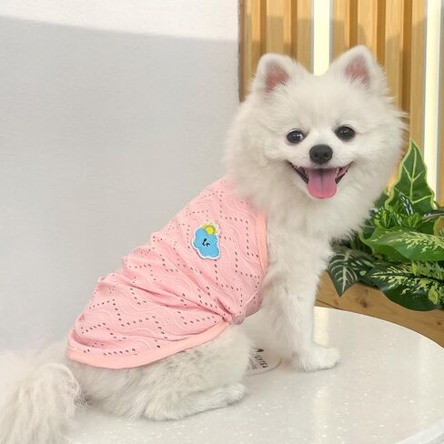 Yanmucy 2 Pieces Dog Summer Clothes Cute Embroidery Dog Striped Tank Top Vest Breathable Puppy Sleeveless Shirt for Small Dogs Cats (Pink+Blue, Medium) in Saudi Arabia