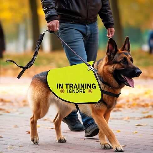 CENWA in Training Ignore Dog Jacket Vest Dog in Training Nervous Anxious Dog Slogan Warning Vest (Training Ignore M) in Saudi Arabia